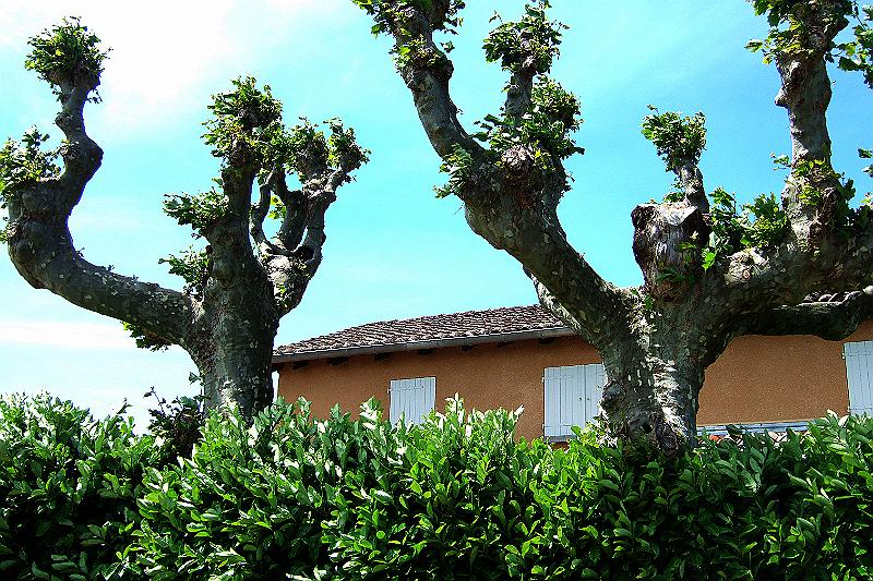 2010-06- (47).JPG